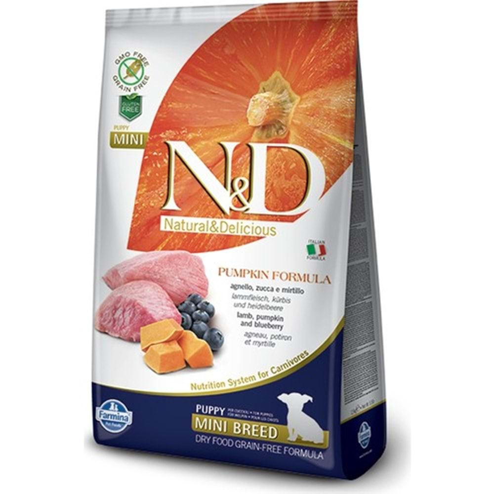 N&D C.PUPPY PUMPKIN MİNİ KUZU VE YABAN MERSİNİ 2,5 KG