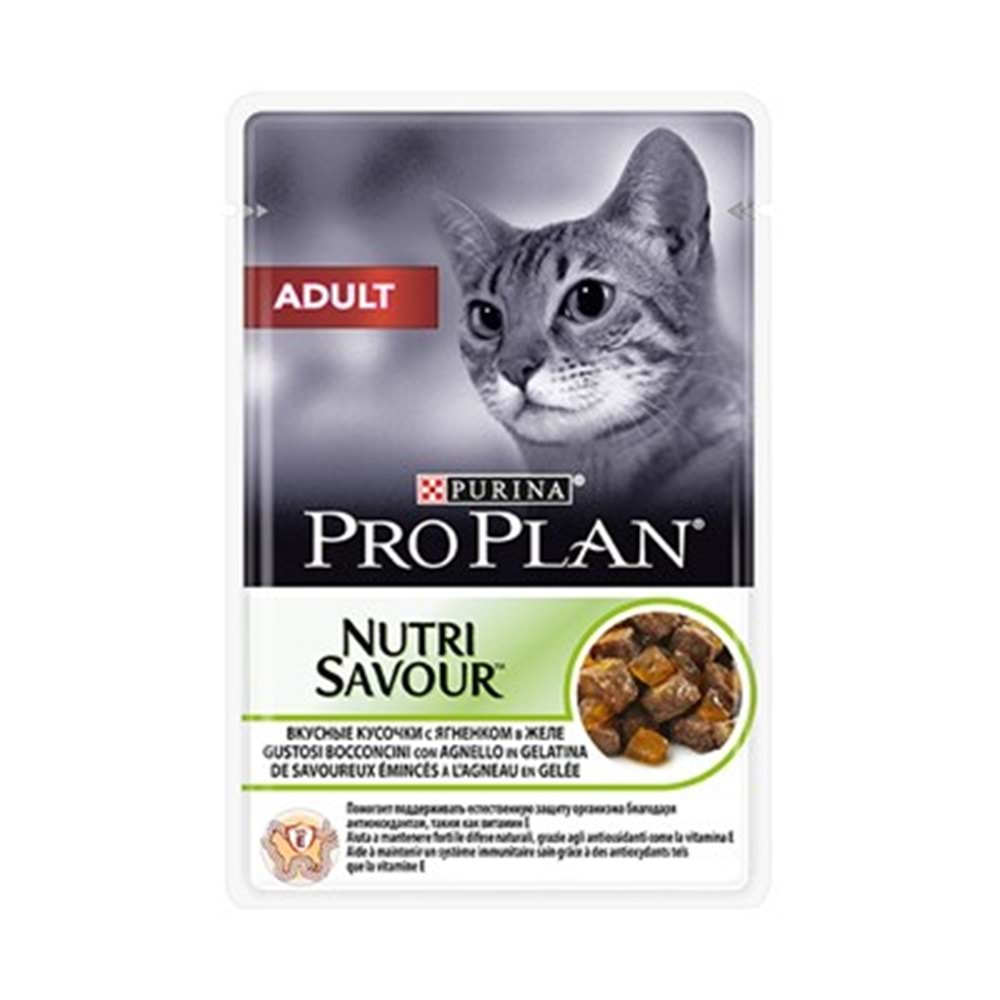 PROPLAN F. ADULT JELLY HİNDİ YAŞ MAMA 85 GR