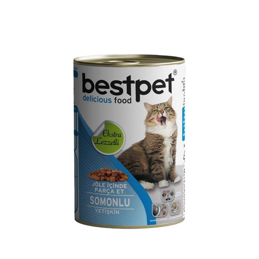 BESTPET CAT WITH SALMON IN JELLY 415G