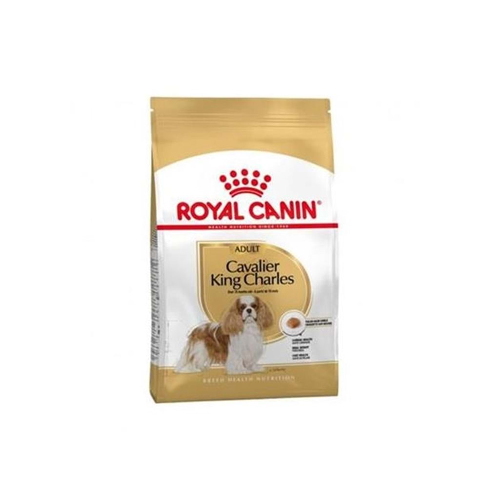 ROYAL CANİN C. CAVALİER KİNG CHARLES KÖPEK MAMASI 3 KG