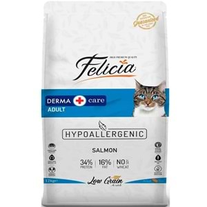 FELİCİA AZ TAHILLI F.ADULT SOMONLU 12 KG