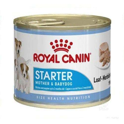 ROYAL CANİN C.STARTER MOUSSE KONSERVE 195 GR